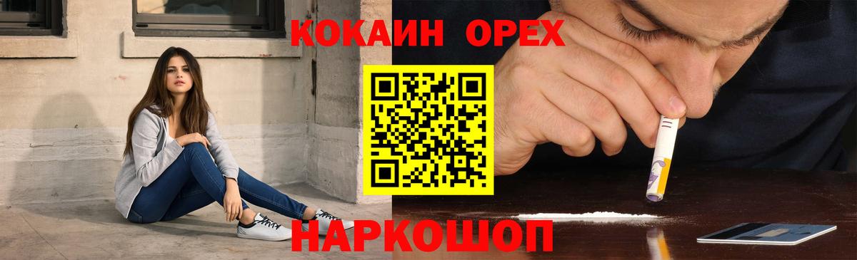 COCAIN Fish Scale  Вход с VPN  Сокол 