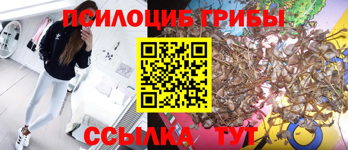 Псилоцибиновые грибы ЛСД  Вход с VPN  купить наркоту  Сокол 