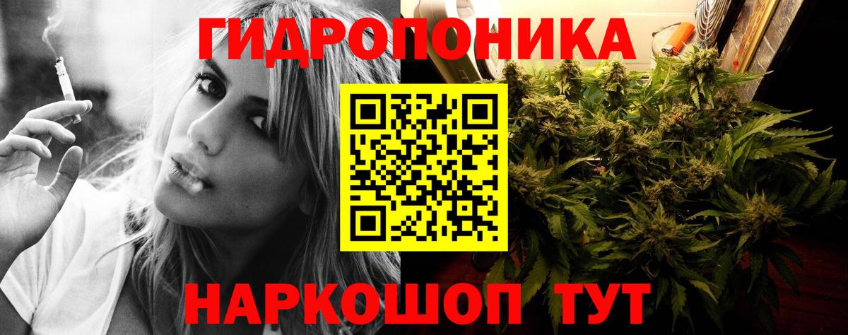 Конопля AK-47  Вход с VPN  Сокол  МАРИХУАНА семена  Марихуана сатива 